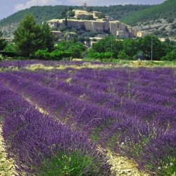 banon_paysage_s2 paysage du Lubéron