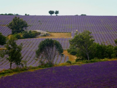 Montagne du Mont Ventoux