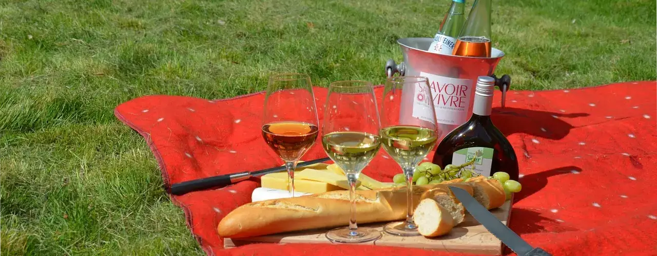 Pique-nique convivial au lac des Vannades